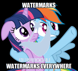 Size: 620x564 | Tagged: safe, rainbow dash, twilight sparkle, derpibooru, g4, april fools, caption, derpibooru premium, image macro, meme, meta, needs more jpeg, text, watermark, x x everywhere