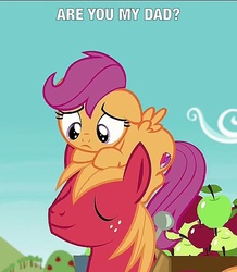 Size: 627x720 | Tagged: safe, screencap, big macintosh, scootaloo, earth pony, pony, g4, on your marks, cutie mark, female, filly, foal, male, meme, ponies riding ponies, pony hat, riding, scootahat, scootaloo riding big macintosh, stallion, text, the cmc's cutie marks