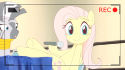 Size: 1366x768 | Tagged: safe, artist:deannart, screencap, fluttershy, zecora, pegasus, pony, zebra, g4, hooves on the table, microphone