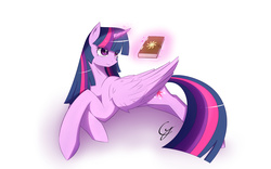 Size: 1920x1200 | Tagged: dead source, safe, artist:laptop-pone, twilight sparkle, alicorn, pony, g4, book, female, magic, mare, prone, solo, telekinesis, twilight sparkle (alicorn)