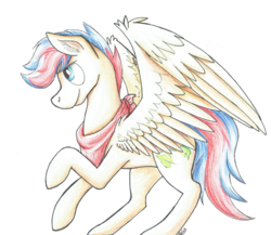 Size: 4035x3509 | Tagged: safe, artist:hilis, oc, oc only, oc:zephyr leaf, pegasus, pony, bandana, male, pegasus oc, simple background, solo, spread wings, traditional art, transparent background, wings