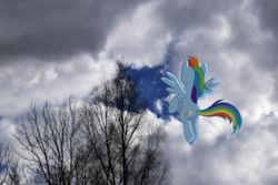 Size: 1500x1000 | Tagged: safe, rainbow dash, g4, female, flying, photoshop, solo