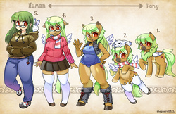 Size: 1600x1035 | Tagged: safe, artist:shepherd0821, oc, oc only, oc:aka, human, anthro, semi-anthro, unguligrade anthro, anthro chart, clothes, hoodie, humanized, jacket