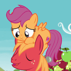 Size: 423x422 | Tagged: safe, screencap, big macintosh, scootaloo, earth pony, pegasus, pony, g4, on your marks, animated, cutie mark, female, filly, floppy ears, gif, headbang, male, mare, ponies riding ponies, pony hat, reversed, riding, scootahat, scootaloo riding big macintosh, stallion, the cmc's cutie marks
