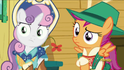 Size: 1280x720 | Tagged: safe, screencap, scootaloo, sweetie belle, g4, on your marks, animated, boots, clothes, cow belle, cowboy boots, cowboy hat, cutie mark, discovery family logo, dress, female, flank, hat, leather pants, lederhosen, out of context, raised eyebrow, shoes, skirt, skirt lift, stetson, the cmc's cutie marks, unamused, we already got our mark, yodeloo