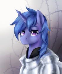 Size: 1013x1200 | Tagged: safe, artist:0biter, oc, oc only, pony, unicorn, armor, solo