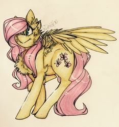 Size: 2448x2630 | Tagged: safe, artist:winterwolfblue, fluttershy, g4, chest fluff, ear fluff, female, high res, looking at you, solo, spread wings, traditional art