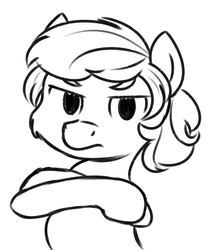 Size: 850x979 | Tagged: artist needed, safe, earth pony, pony, angry, child, colt, crossed arms, disappointed, foal, frown, glare, looking at you, male, meme, reaction image, why, you had one job