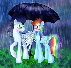 Size: 1024x985 | Tagged: safe, artist:northlights8, rainbow dash, soarin', pony, g4, backwards cutie mark, female, male, rain, ship:soarindash, shipping, straight, umbrella, wet