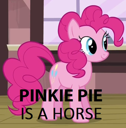 Size: 449x457 | Tagged: safe, pinkie pie, earth pony, horse, pony, g4, captain obvious, cute, female, image macro, mare, meme, smiling, solo, standing, you don't say
