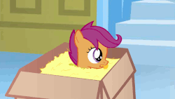 Size: 640x360 | Tagged: safe, artist:endendragon, scootaloo, pony, g4, animated, box, chewing, female, it came from youtube, packing peanuts, pony in a box, solo, youtube link