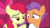 Size: 1920x1080 | Tagged: safe, screencap, apple bloom, tender taps, earth pony, pony, g4, my little pony: friendship is magic, on your marks, colt, cutie mark, female, filly, lidded eyes, lip bite, male, out of context, the cmc's cutie marks