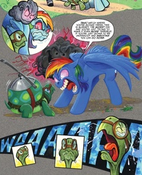 Size: 1363x1682 | Tagged: safe, artist:andypriceart, idw, rainbow dash, tank, zecora, dreary, pegasus, pony, tortoise, zebra, g4, spoiler:comic, spoiler:comic41, comic, crying, do i look angry, faic, female, goggles, mare, nightmare face, nightmare fuel, rage, rainbow douche, speech bubble, tongue out