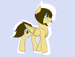 Size: 2048x1556 | Tagged: safe, artist:cold blight, derpibooru exclusive, oc, oc only, pegasus, pony, female, pose, smiling, solo