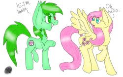 Size: 1024x640 | Tagged: safe, artist:oakfeathermlp, fluttershy, oc, oc only, oc:vanna melon, pony, g4, dialogue, heterochromia, simple background, transparent background