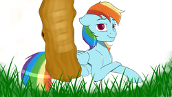 Size: 4800x2700 | Tagged: safe, artist:cold blight, derpibooru exclusive, rainbow dash, pegasus, pony, g4, cute, female, lying down, solo