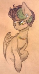 Size: 625x1184 | Tagged: safe, artist:hippykat13, artist:sabokat, oc, oc only, oc:kitty sweet, pegasus, pony, bruised, ear piercing, earring, edgy, jewelry, looking down, piercing, ponysona, scar, short hair, sketch, solo, traditional art