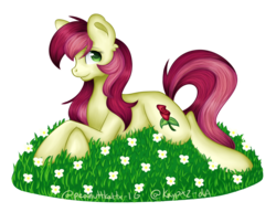 Size: 1500x1150 | Tagged: safe, artist:kaypxz, roseluck, earth pony, pony, g4, female, grass, mare, solo