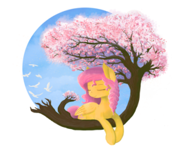Size: 1157x1000 | Tagged: safe, artist:shiropoint, fluttershy, bird, g4, cherry blossoms, female, solo, tree
