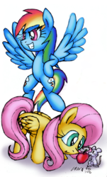 Size: 904x1500 | Tagged: safe, artist:cazra, fluttershy, rainbow dash, mouse, g4, apple, both cutie marks, food, grin