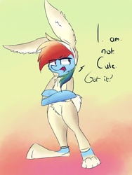 Size: 768x1024 | Tagged: safe, artist:lumepone, rainbow dash, pony, g4, bipedal, bunny costume, clothes, female, i'm not cute, solo