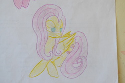 Size: 6000x4000 | Tagged: safe, artist:dewdrop, fluttershy, g4, colored pencil drawing, cute, female, shyabetes, solo, traditional art