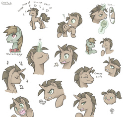 Size: 1746x1649 | Tagged: safe, artist:soulspade, oc, oc only, oc:cantus, expressions, mirror, reference sheet, singing