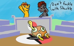 Size: 960x600 | Tagged: safe, artist:gillard55, oc, oc:soundspeed, shuckle, commentary, pokémon