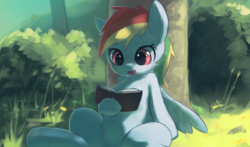 Size: 1006x591 | Tagged: safe, artist:apricolor, rainbow dash, pegasus, pony, g4, belly button, book, female, leaning, open mouth, outdoors, reading, sitting, solo, tree, wings