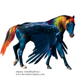 Size: 1500x1500 | Tagged: safe, artist:lulemt, rainbow dash, horse, pegasus, pony, g4, hoers, horsified, photoshop, realistic, rectangular pupil, simple background, solo, transparent background