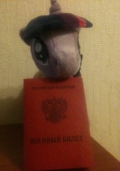 Size: 1024x1464 | Tagged: artist needed, safe, twilight sparkle, g4, irl, photo, plushie, russian