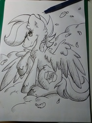 Size: 1024x1365 | Tagged: safe, artist:rainbowshine94, scootaloo, g4, chest fluff, cutie mark, ear fluff, female, monochrome, solo, the cmc's cutie marks, traditional art, unshorn fetlocks