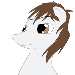 Size: 1200x1200 | Tagged: safe, artist:a_simplepony, oc, oc only, oc:asimplepony, pony, avatar, male