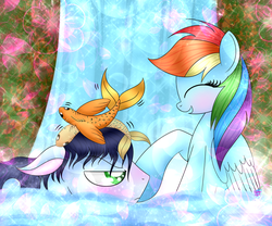 Size: 1024x853 | Tagged: dead source, safe, artist:northlights8, rainbow dash, soarin', fish, pony, g4, female, male, ship:soarindash, shipping, straight, water, waterfall