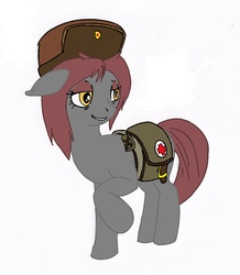 Size: 1749x2006 | Tagged: safe, oc, oc only, oc:veronika, earth pony, pony, bag, female, floppy ears, hat, hooves, mare, medic, medical saddlebag, raised hoof, saddle bag, simple background, solo, white background