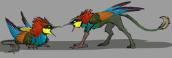 Size: 2616x894 | Tagged: safe, artist:sunny way, oc, oc only, bird, griffon, rcf community, angry, colored, male, merops apiaster, paws, solo, wings