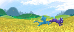 Size: 900x391 | Tagged: safe, artist:extract-of, earth pony, pony, legends of equestria, concept art, field, flower, scenery