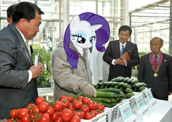 Size: 594x420 | Tagged: safe, rarity, human, g4, cucumber, food, head swap, irl, irl human, kim jong-il, photo, rarity looking at food, tomato