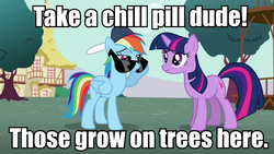 Size: 960x540 | Tagged: safe, edit, edited screencap, screencap, rainbow dash, twilight sparkle, g4, dippy fresh, gravity falls, image macro, male, meme, weirdmageddon 2: escape from reality