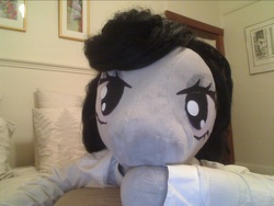 Size: 1600x1200 | Tagged: safe, artist:bigsexyplush, artist:somethingaboutoctavia, octavia melody, earth pony, anthro, g4, anthro plushie, bedroom, bedroom eyes, clothes, cute, doll, irl, photo, plushie, shirt, silly, toy, webcam