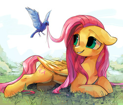 Size: 1800x1545 | Tagged: safe, artist:rocy canvas, fluttershy, bird, pegasus, pony, g4, cute, female, floppy ears, folded wings, grass, hair styling, looking at something, mane styling, mare, outdoors, prone, shyabetes, smiling, solo, wings