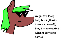 Size: 1024x700 | Tagged: safe, artist:wubster b. dubson, oc, oc only, unnamed oc, 1000 hours in ms paint, bust, ms paint, portrait, simple background, smiling, solo, sunglasses, triangle sunglasses, white background