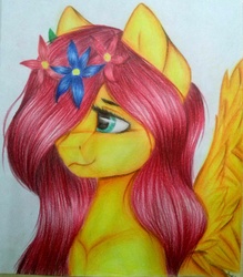 Size: 1153x1316 | Tagged: safe, artist:sweesear, edit, fluttershy, pegasus, pony, g4, drawing, female, flower, flower in hair, green eyes, looking away, mane, pink mane, solo, spread wings, traditional art, wings