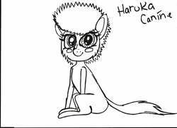 Size: 2338x1700 | Tagged: safe, artist:covenantkiller, oc, oc only, oc:haruka takahashi, dog, littlest pet shop