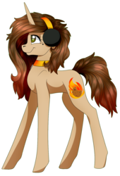 Size: 1023x1502 | Tagged: safe, artist:doodle-28, oc, oc only, oc:blazing cookie, solo