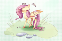 Size: 910x600 | Tagged: safe, artist:archego-art, fluttershy, bird, pegasus, pony, g4, :i, abstract background, cute, eyes closed, female, flower, folded wings, grass, large wings, mare, mouth hold, nom, raised hoof, rock, shyabetes, smiling, solo, wings