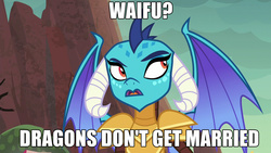 Size: 1280x720 | Tagged: safe, princess ember, dragon, g4, gauntlet of fire, image macro, meme, waifu