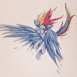 Size: 960x963 | Tagged: safe, artist:loladotz, rainbow dash, g4, female, flying, simple background, sketchbook, solo, traditional art, windswept mane, wink
