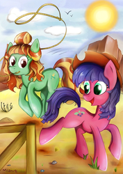 Size: 800x1132 | Tagged: safe, artist:milanoss, oc, oc only, bird, cloud, cowboy hat, desert, hat, lasso, stetson, sun