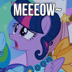 Size: 463x463 | Tagged: safe, edit, screencap, princess celestia, rainbow dash, twilight sparkle, g4, make new friends but keep discord, alternate hairstyle, animated, behaving like a cat, blinking, clothes, cropped, cute, dress, female, frown, gala dress, image macro, meme, meow, open mouth, solo focus, text, twilight cat, twilight sparkle (alicorn)
